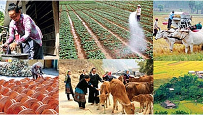 ສະພາບສິດທິມະນຸດຢູ່ຫວຽດນາມນັບມື້ໄດ້ຮັບການປົວແປງ